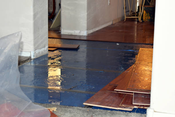 Professional Basement Water Removal technician working in Panna Maria, TX